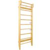 Gymnastics Wood Stall Bar, Multi-use Swedish Ladder- Wall Mounted Pull Up Bar-Physical Therapy for Stretching and Various Exercises