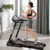 330LBS Folding Electric Trenmill Aerobic Training 14.8KM/h Running Fitness LCD Display 5in 3.5HP motor